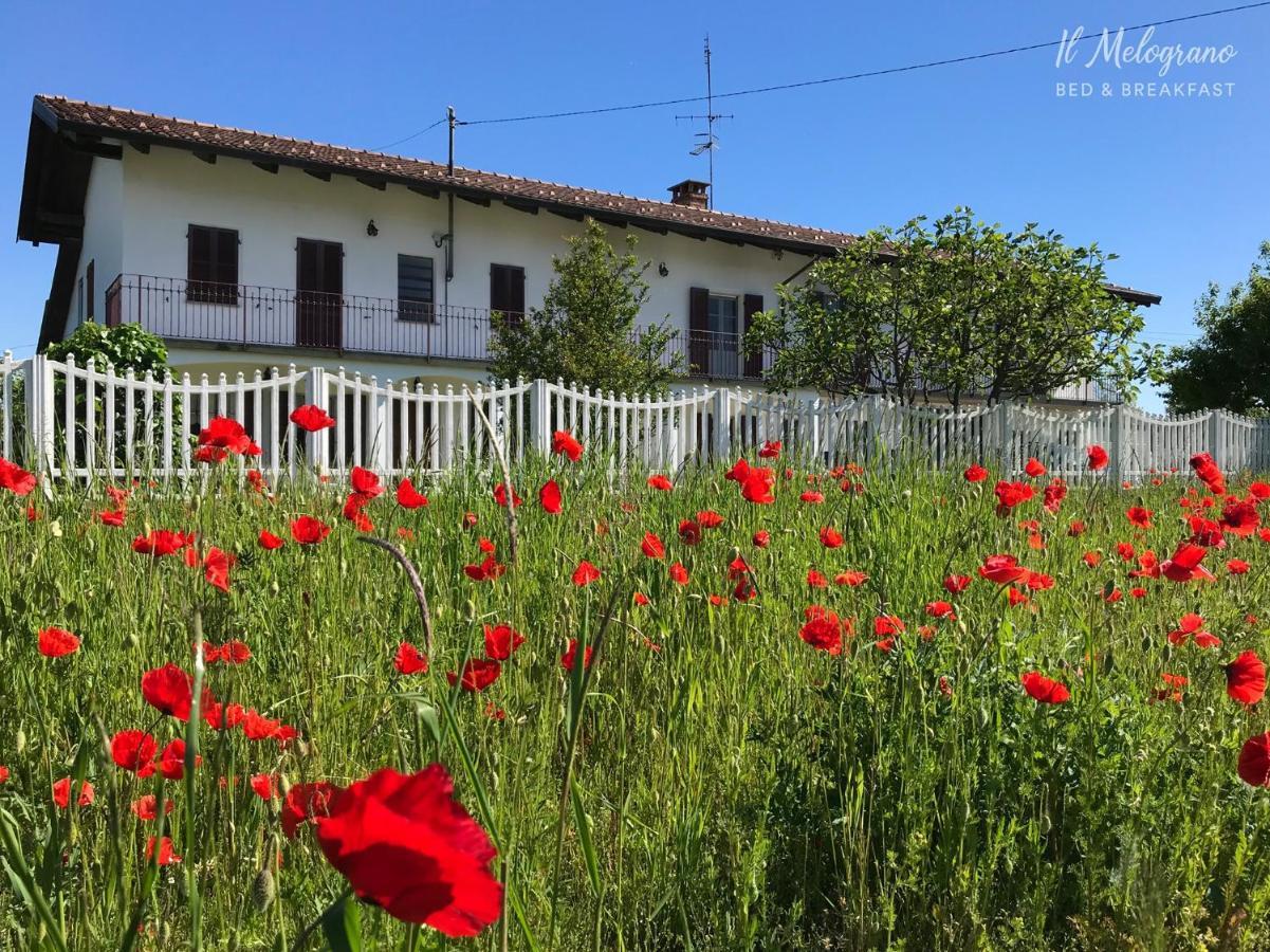 Il Melograno B&B Gassino Torinese Ngoại thất bức ảnh